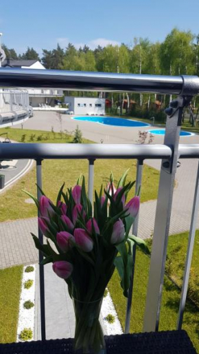 Apartament Happy 16 z Widokiem na basen - maksymalnie 6 osób